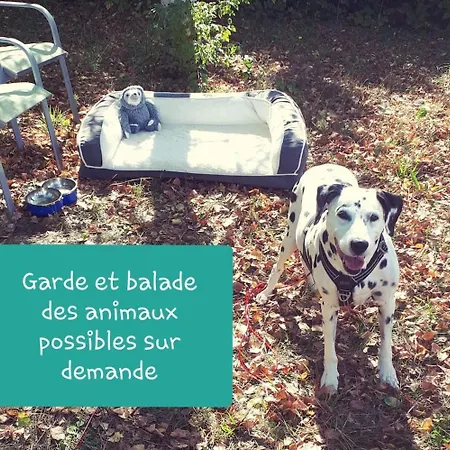 Magnifiques Voutes Avec