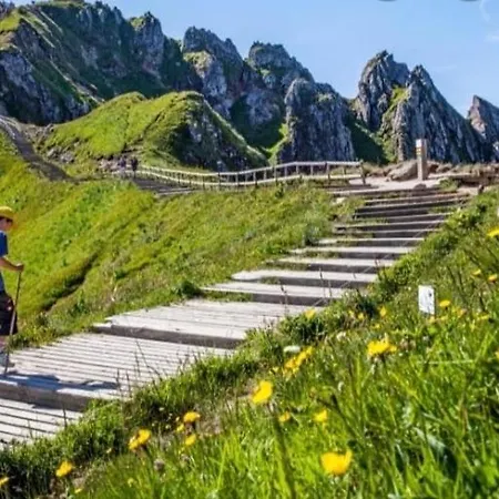 Magnifiques Voutes Avec * Saint-Amant-Tallende